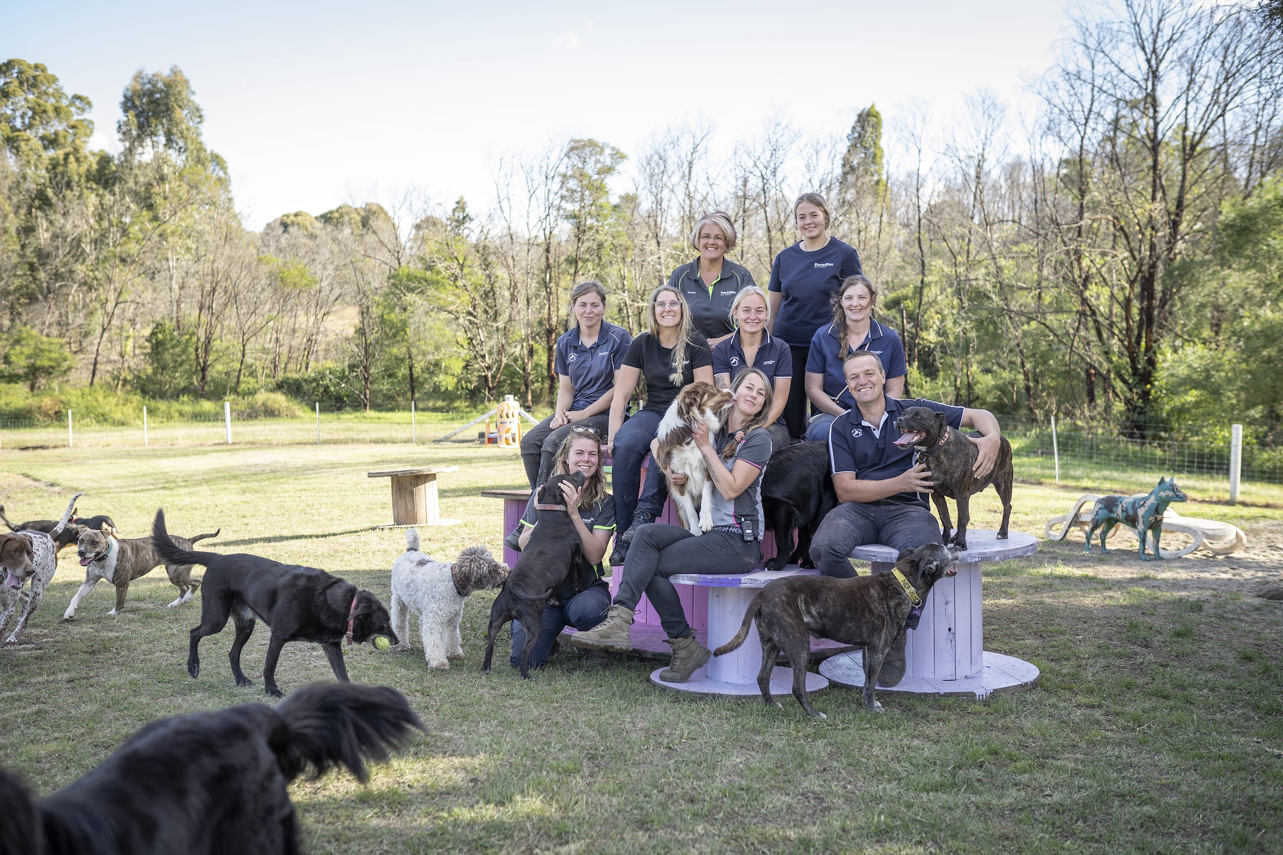 Paradise Pet Parks Puppy Primary Trainers