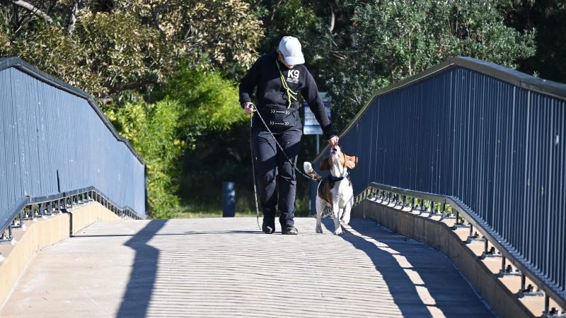 Paradise Pet Parks: house visits and home dog training provided by expert dog trainer