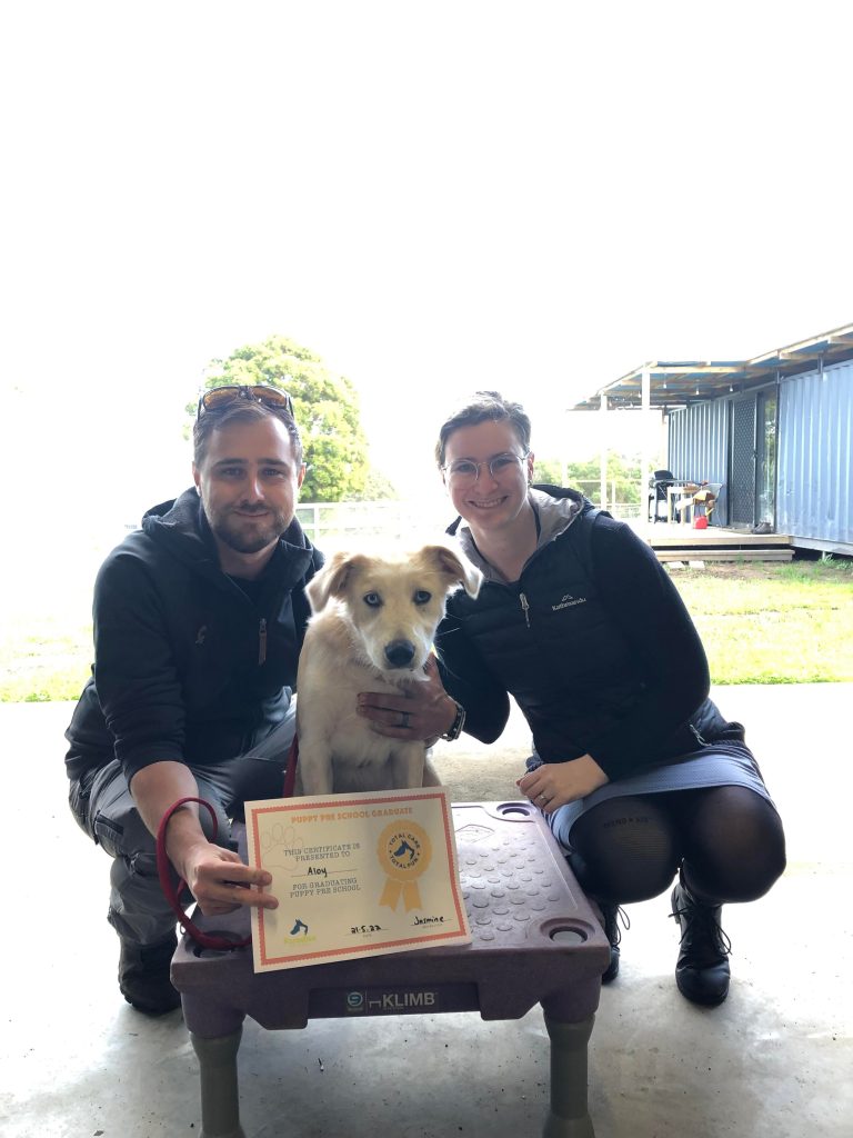 Paradise Pet Parks: Dog training graduate photo