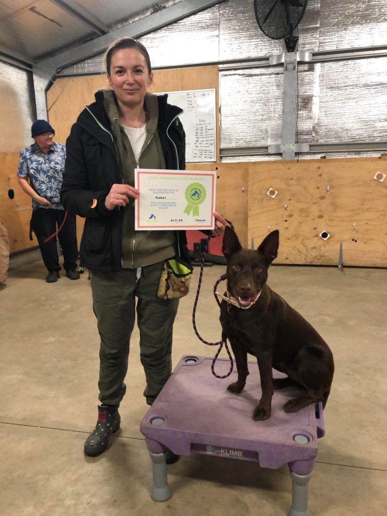 Paradise Pet Parks: Dog training graduate photo