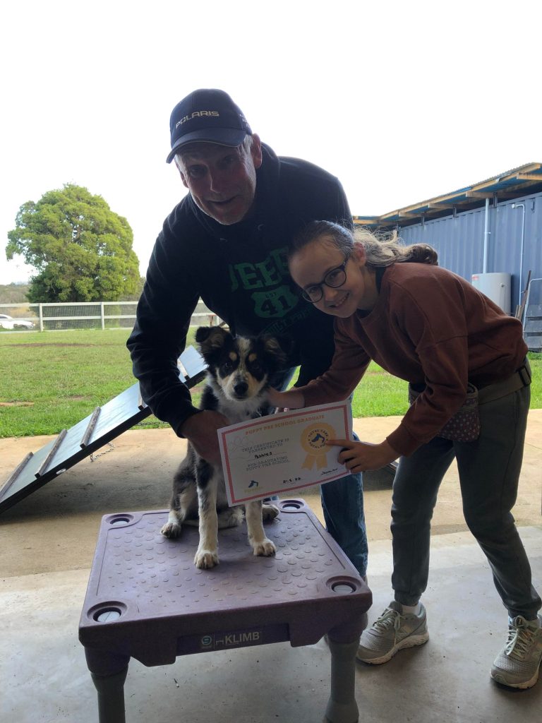 Paradise Pet Parks: Dog training graduate photo