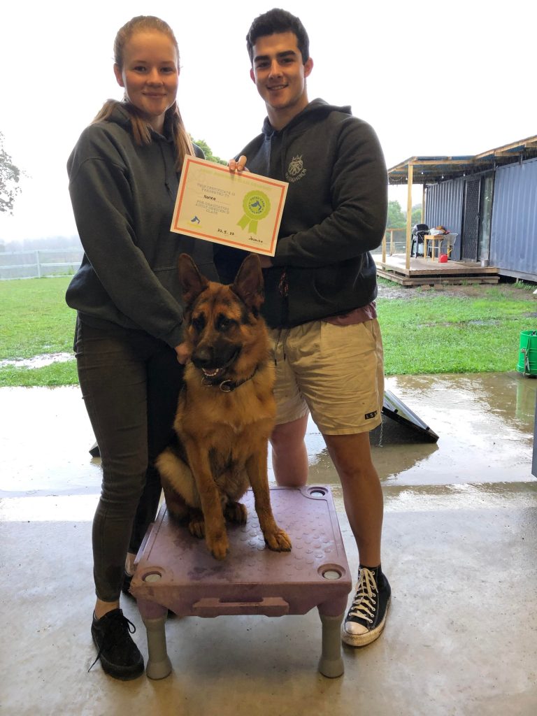 Paradise Pet Parks: Dog training graduate photo