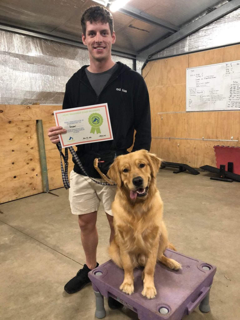 Paradise Pet Parks: Dog training graduate photo