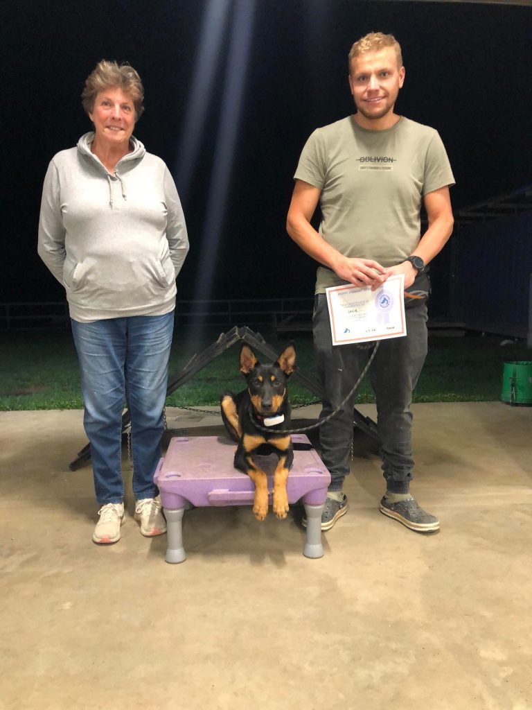 Paradise Pet Parks: Dog training graduate photo