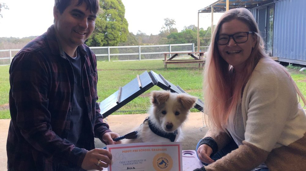 Paradise Pet Parks: Dog training graduate photo