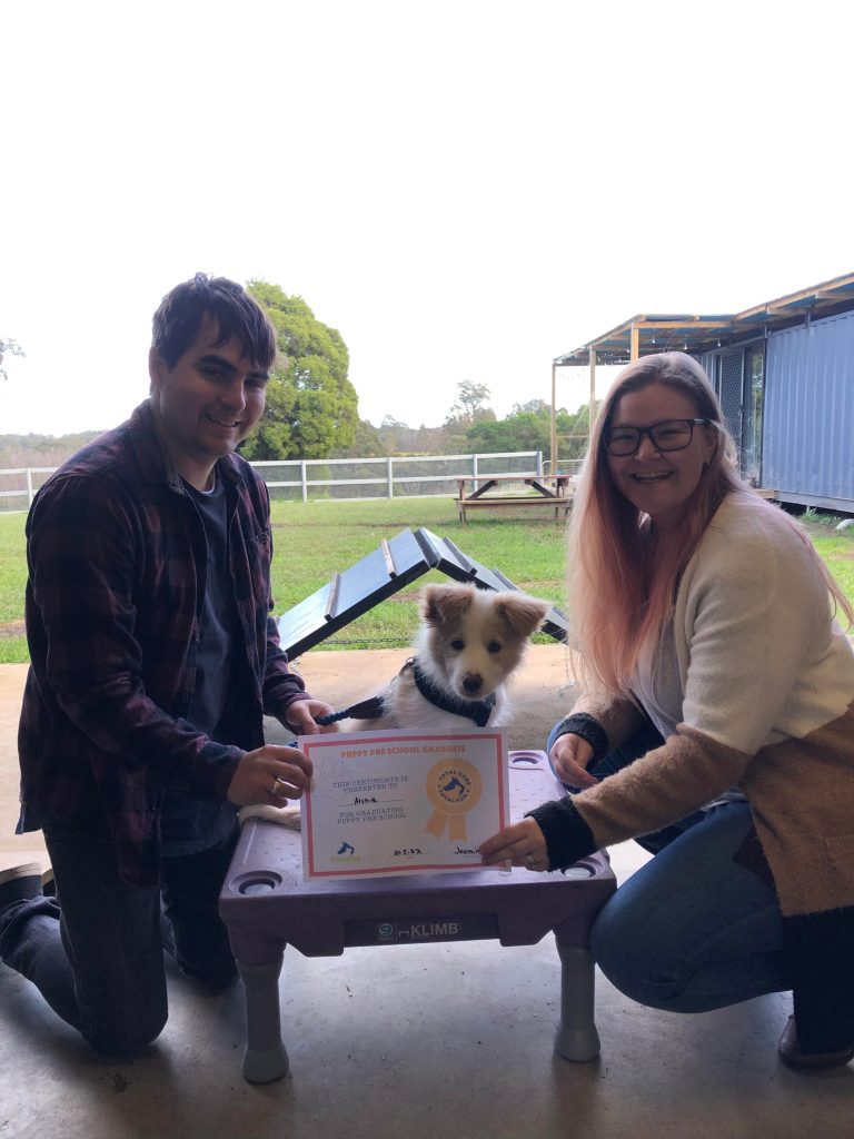 Paradise Pet Parks: Dog training graduate photo