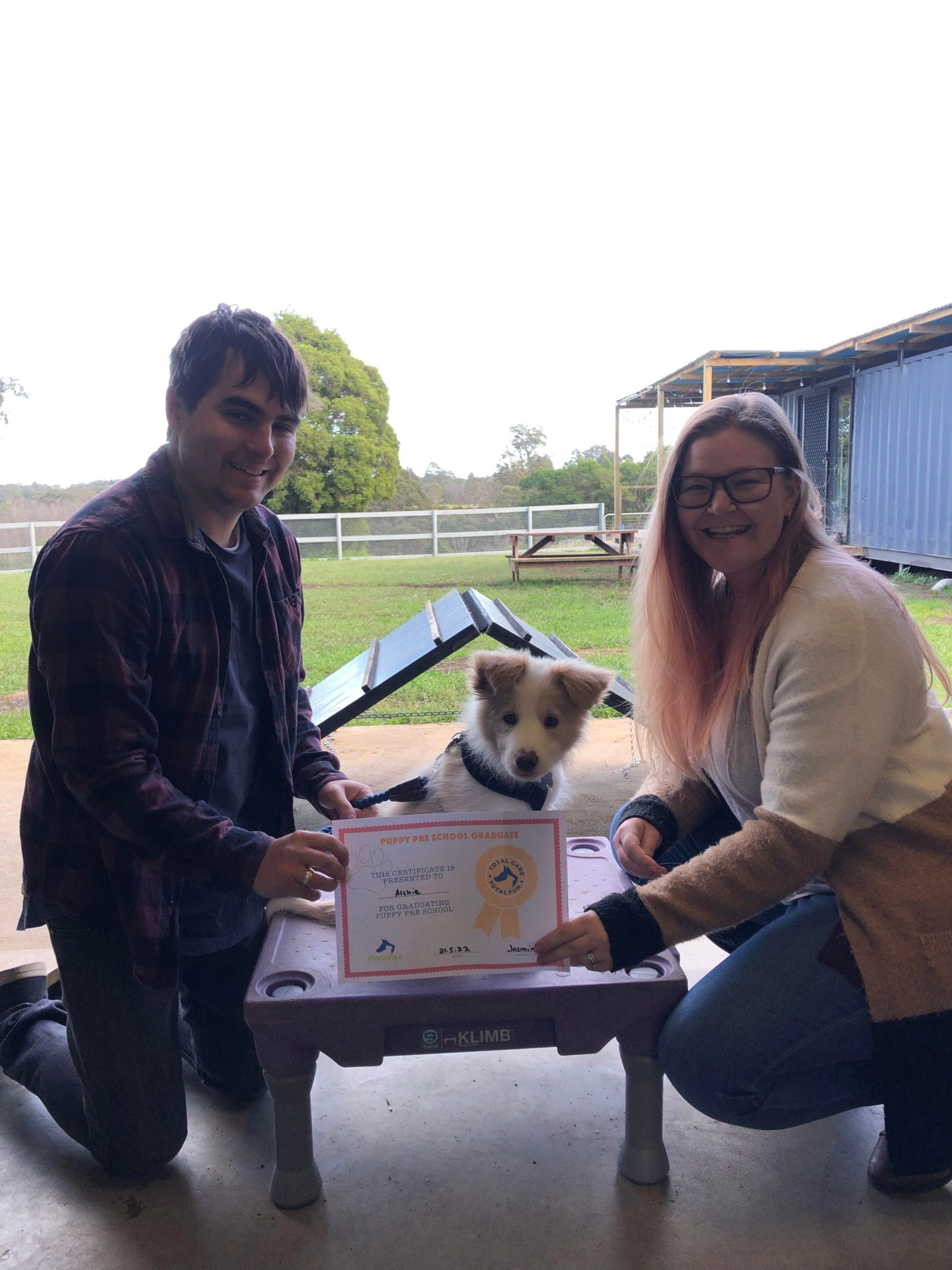 Paradise Pet Parks: Dog training graduate photo