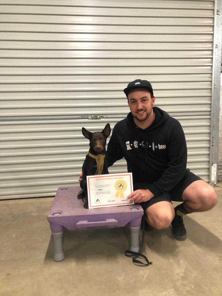 Paradise Pet Parks: Dog training graduate photo