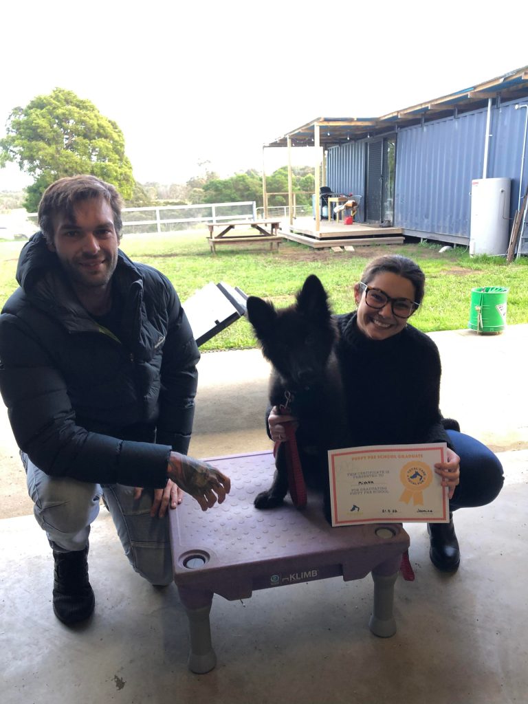 Paradise Pet Parks: Dog training graduate photo