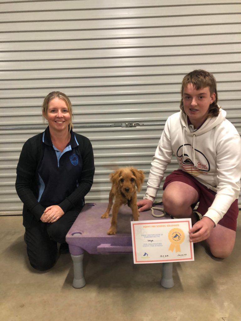 Paradise Pet Parks: Dog training graduate photo
