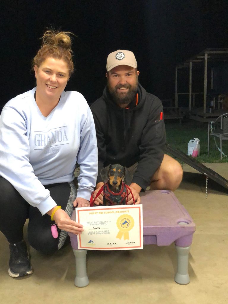 Paradise Pet Parks: Dog training graduate photo